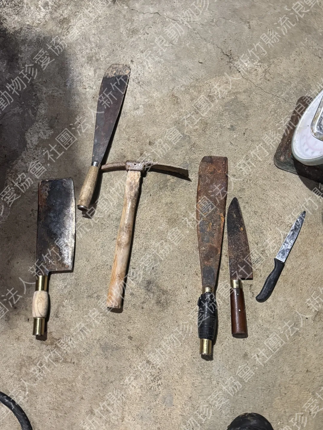 現場查獲刀具。新竹縣流浪動物珍愛協會提供