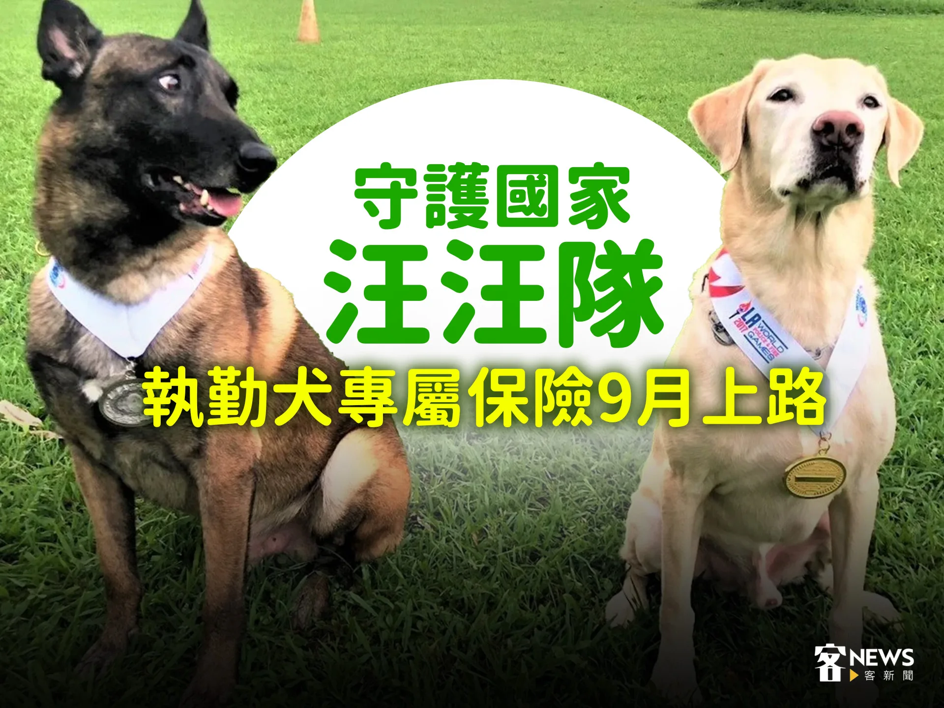 守護國家汪汪隊　執勤犬專屬保險9月上路