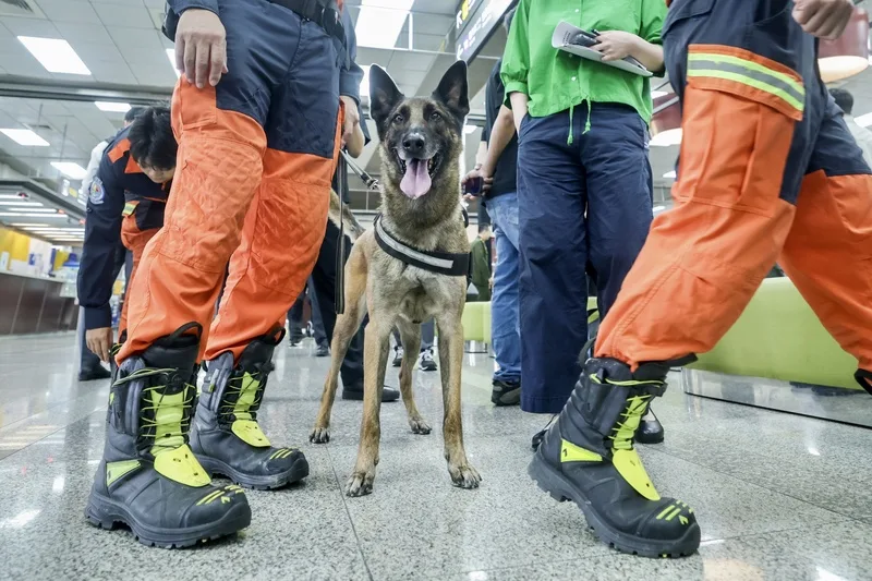 守護國家汪汪隊，執勤犬啟動全面納保將啟動。中央社