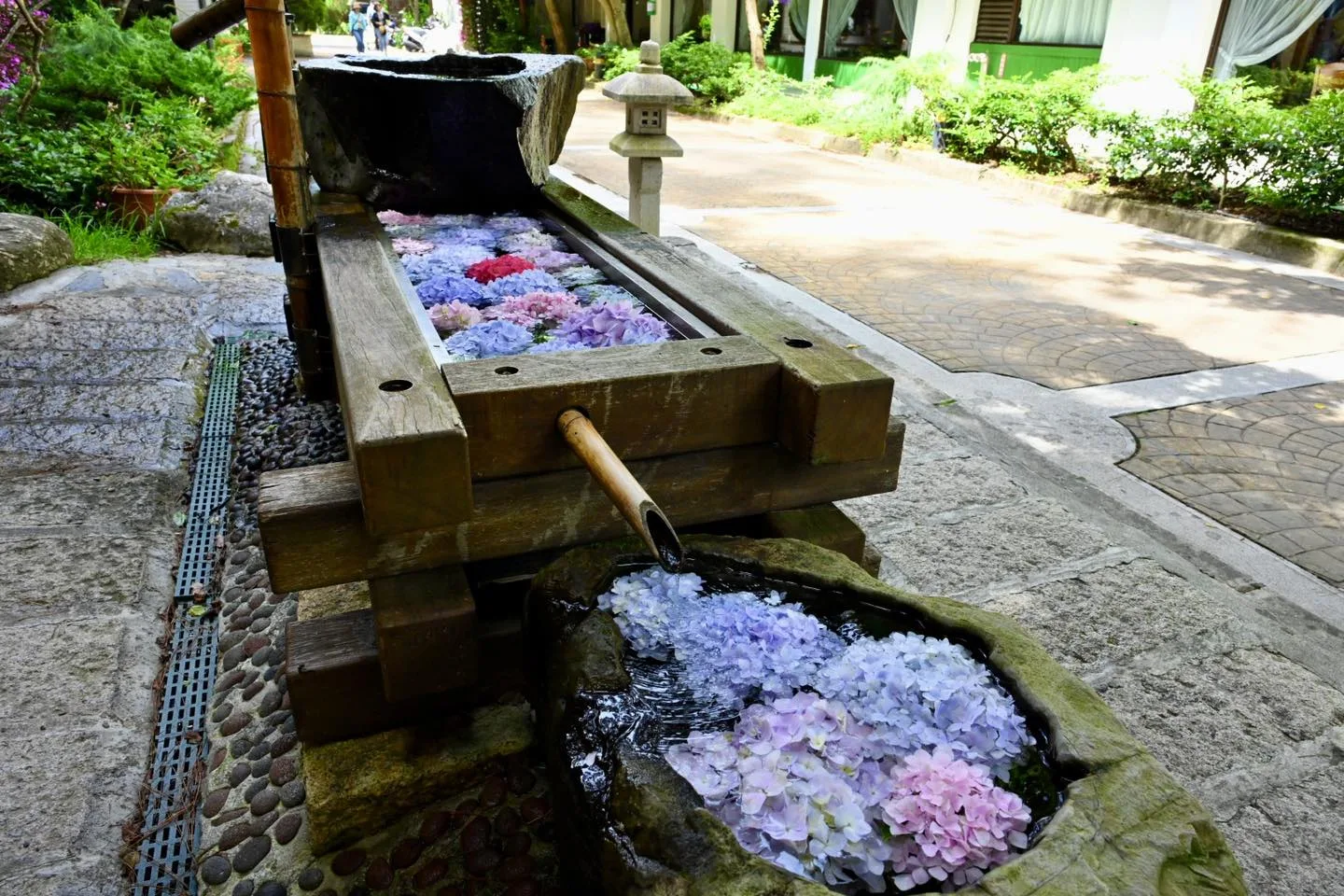 武陵農場布置「花手水」,期望旅人賞花之餘,能更進一步獲得心靈片刻的寧靜。武陵農場提供