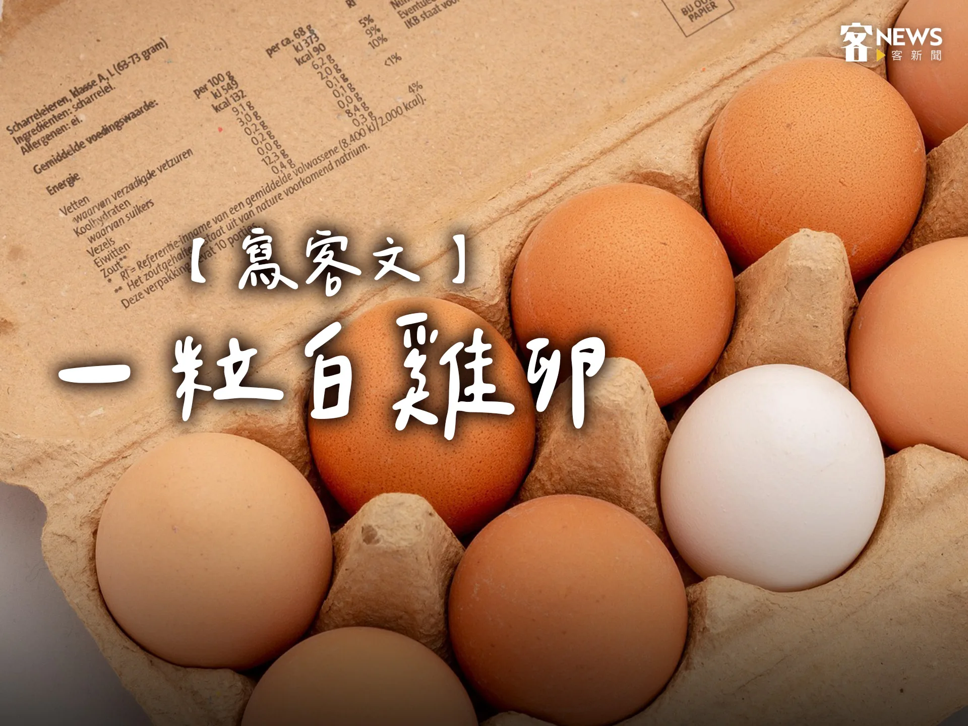 【寫客文】一粒白雞卵