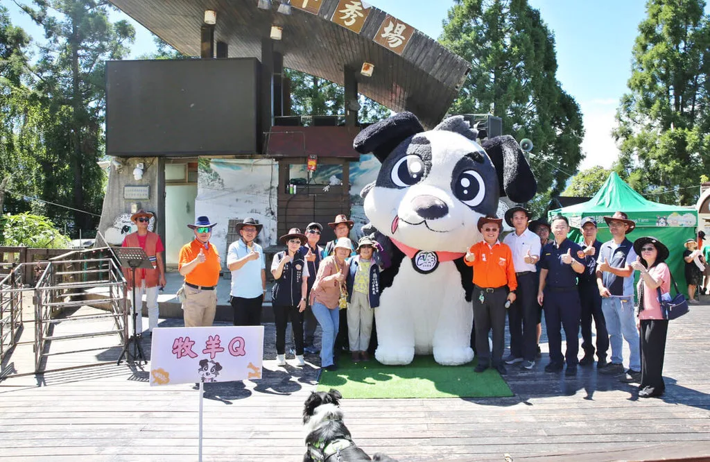 清境農場辦理牧羊犬大型氣球票選命名，2日揭曉由「牧羊Q」勝出並首次亮相，結合羊羊氣球佇立草原，吸引遊客合影留念、成為打卡新亮點。圖／清境農場