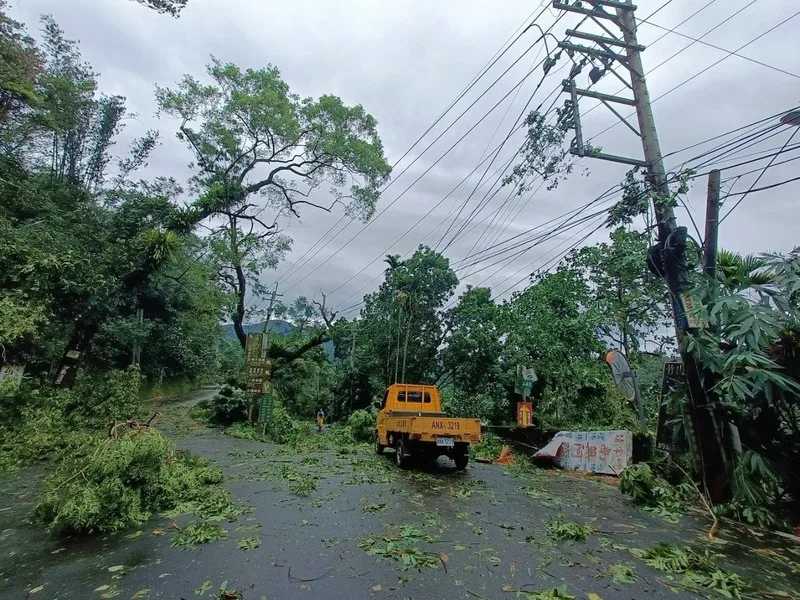 颱風丹娜絲襲台,南投縣多處樹木傾倒,台電南投區處統計,截至7日上午9時仍有1萬7162戶停電,主因多為樹木及竹林傾倒壓損供電線路與設備,持續搶修,盼停電影響降到最低。台電南投區處提供