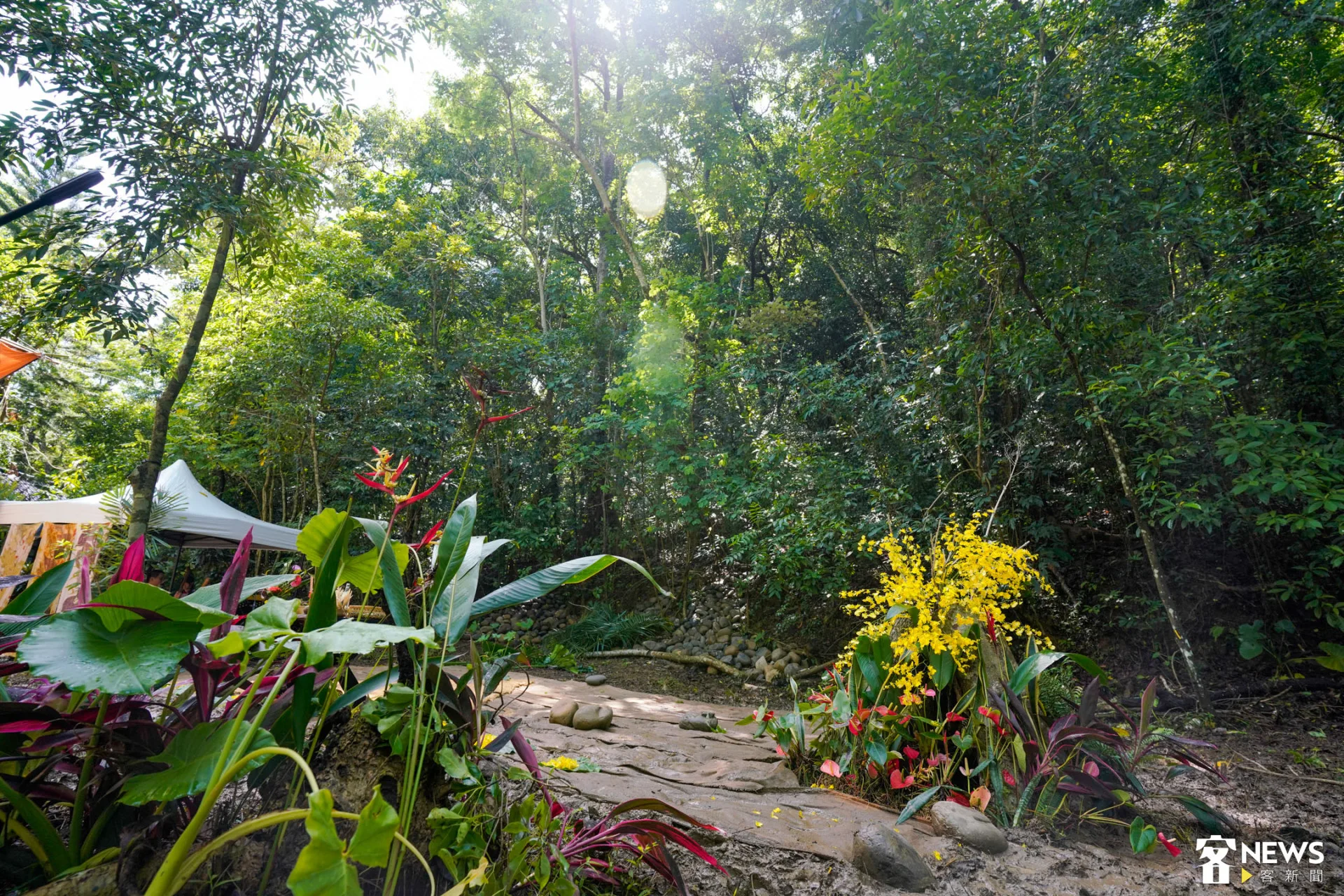 這次黃蝶祭因前幾日颱風,溪邊水勢過大,所以辦在雙溪熱帶樹木園中。朱愷元攝