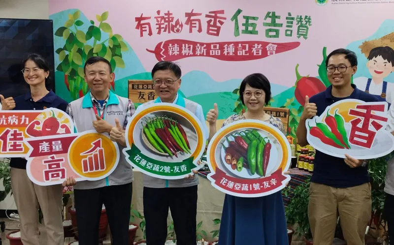 農業部花蓮區農業改良場17日在農業部舉辦「辣椒新品種發表記者會」。中央社