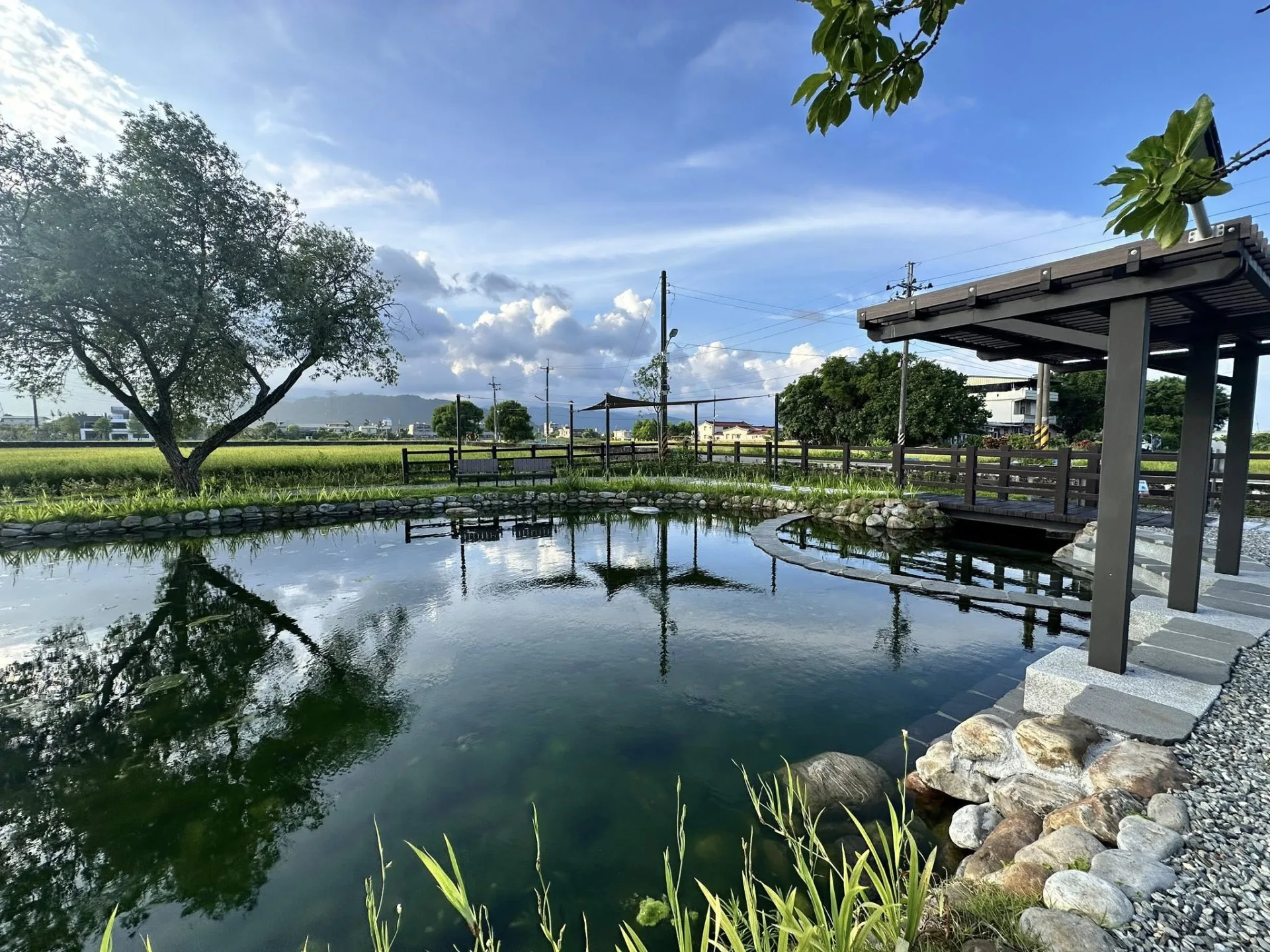 經清淤過的湧泉池水質清澈。蓁巷社協提供