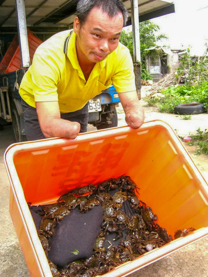 雙手截肢人鄭先生與他在新竹鳳山溪所捉的毛蟹。陳權欣攝