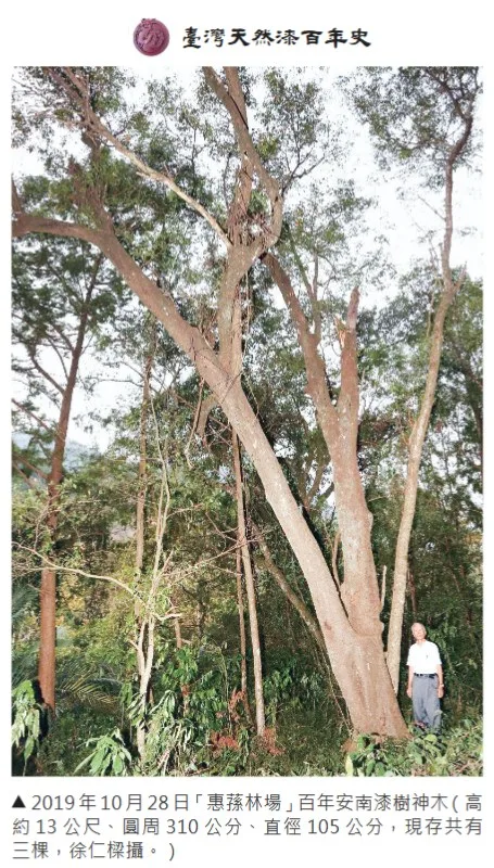 徐仁富於2019年赴惠蓀林場找尋漆樹。翻攝龍南漆器FB