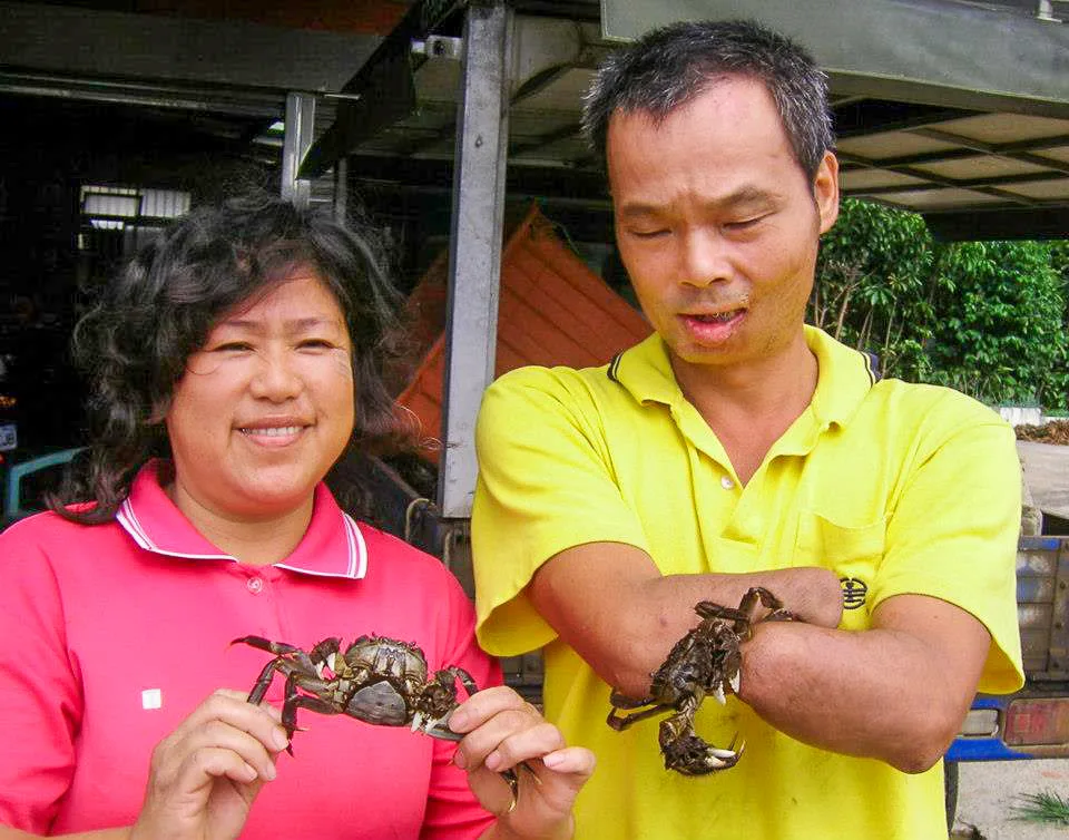 兩夫妻合作無間一人捉一人賣,要養活一家六口不容昜啊。陳權欣攝