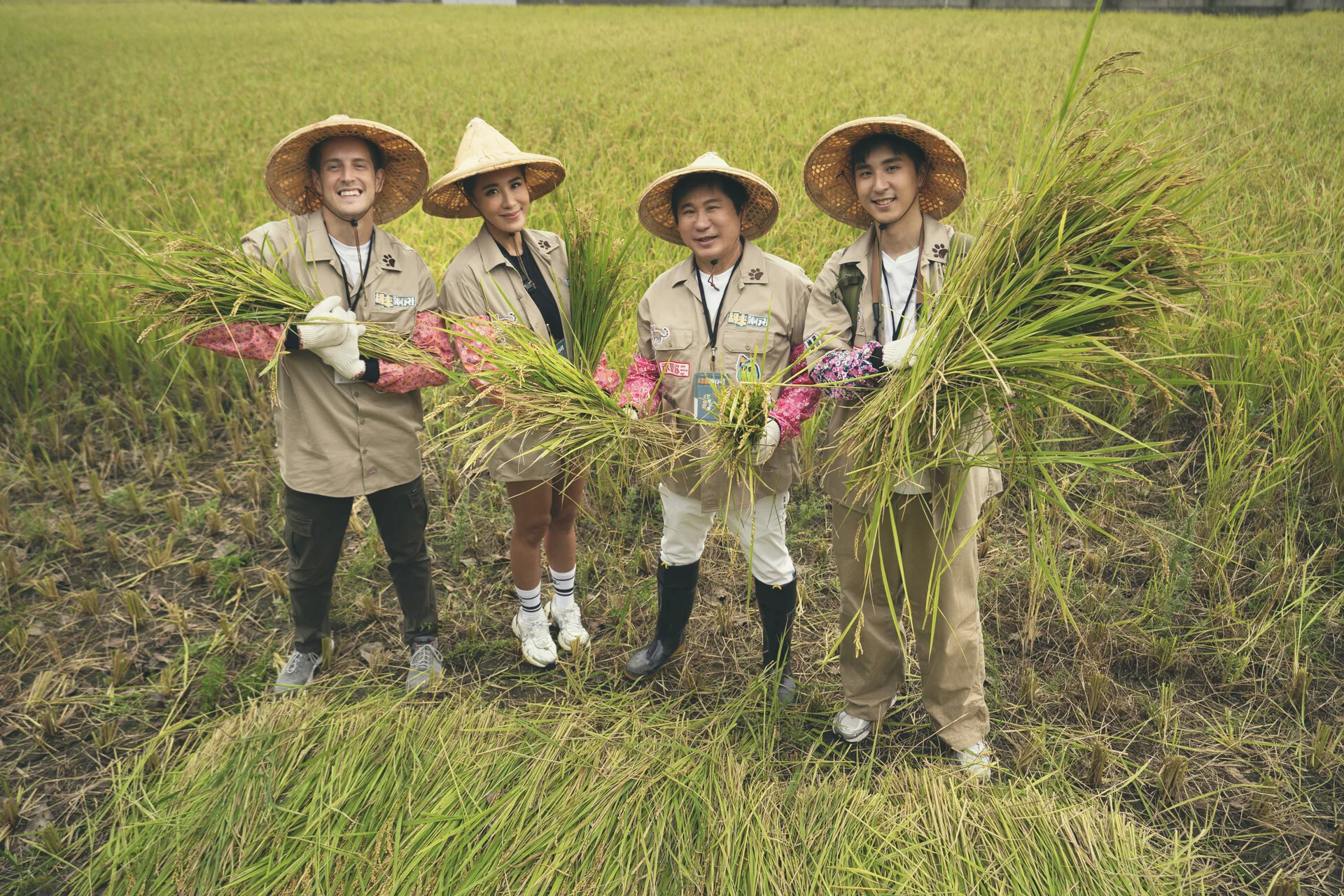 瓜哥割稻突發「意外」全場笑翻。