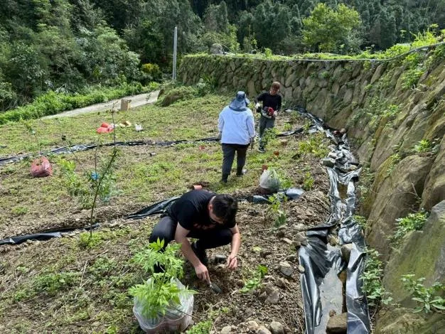 栽種林木營造複層結構、鋪設不透水層以促進積水。雲林縣政府提供