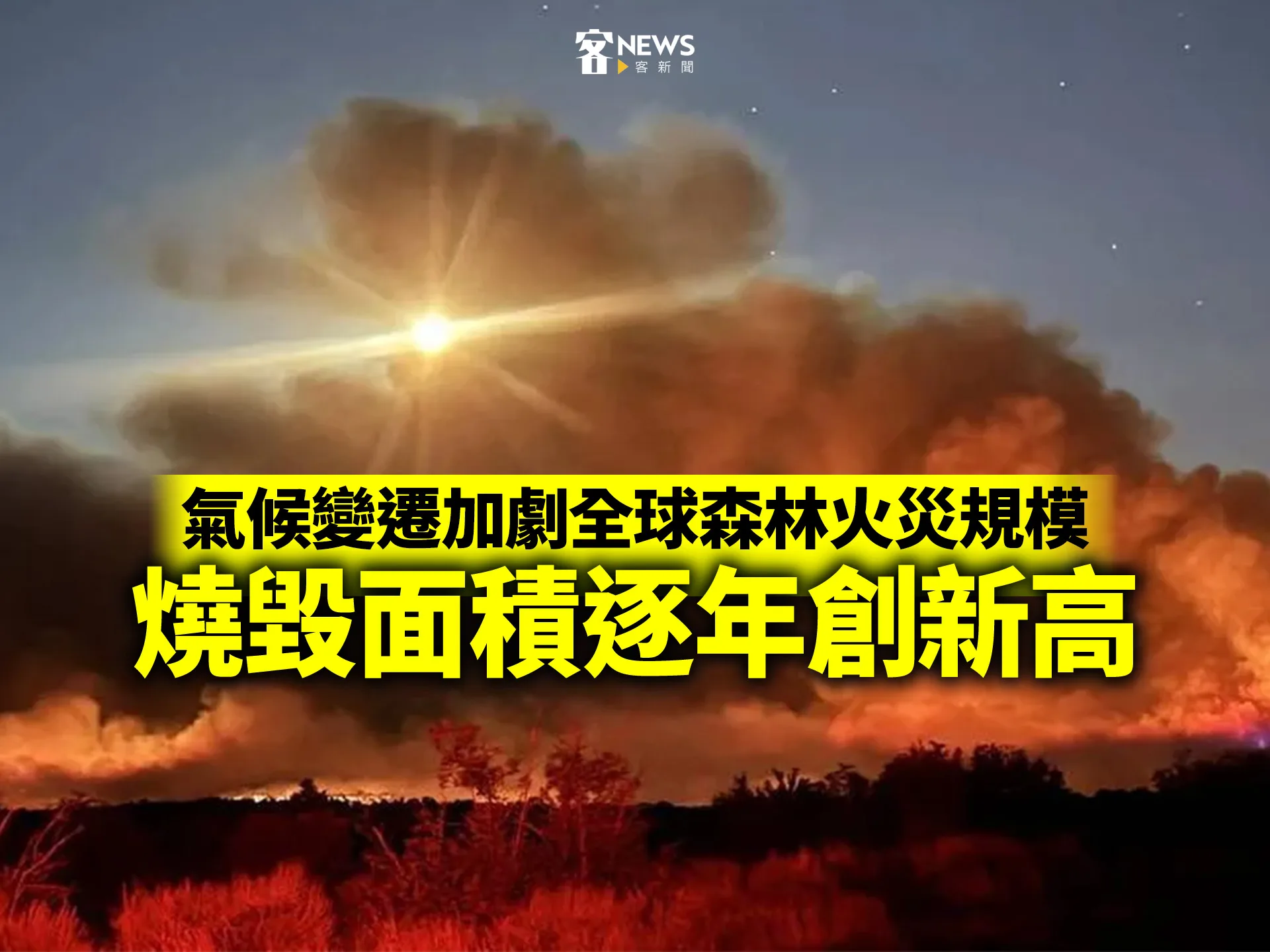 氣候變遷加劇全球森林火災規模　燒毀面積逐年創新高