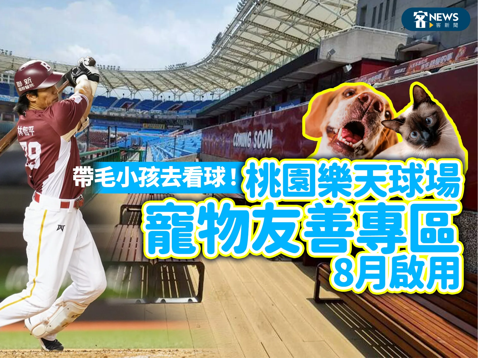 帶毛小孩去看球！桃園樂天球場「寵物友善專區」8月啟用