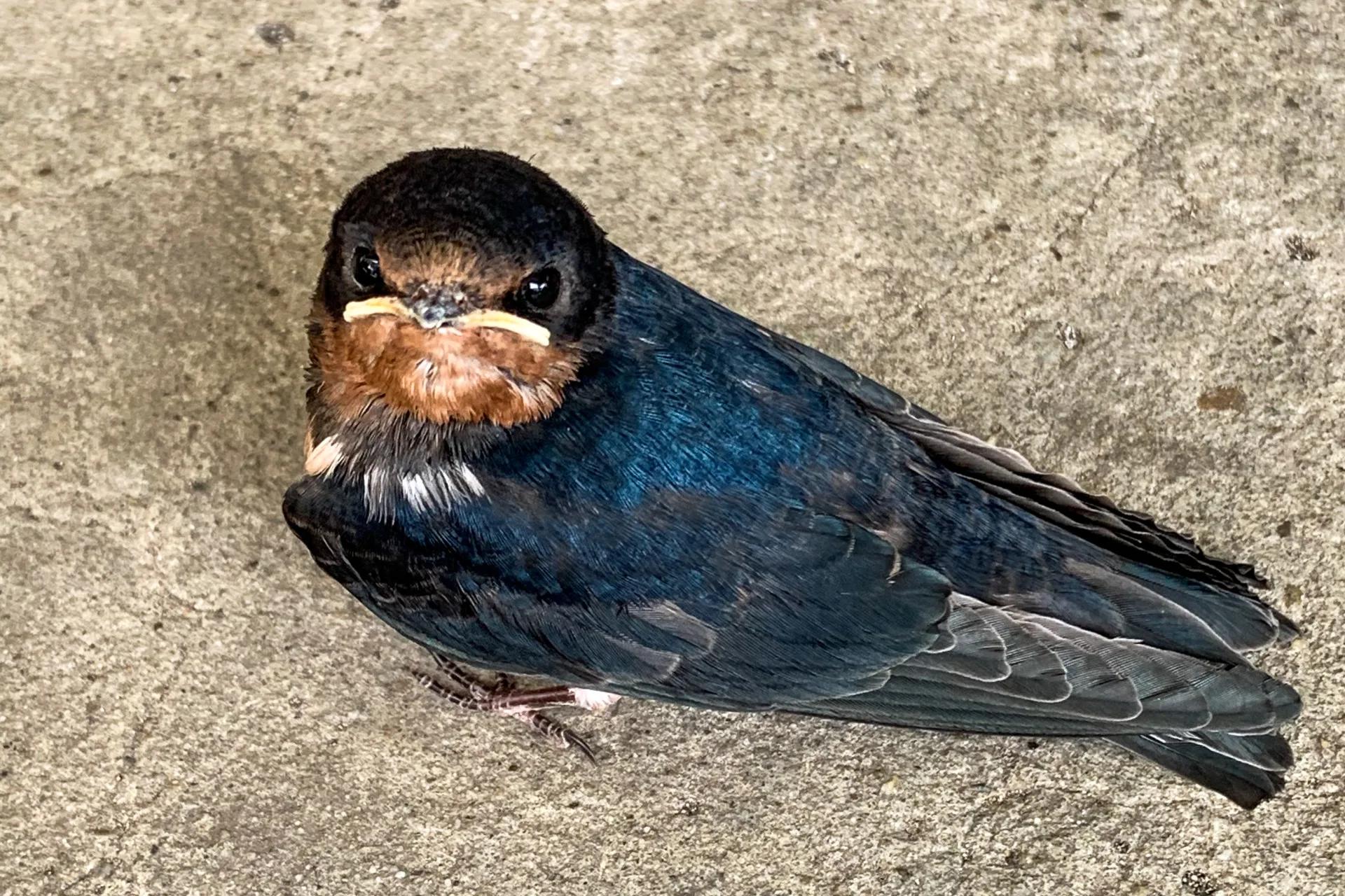 天寬地闊自然美。邱鴻春攝