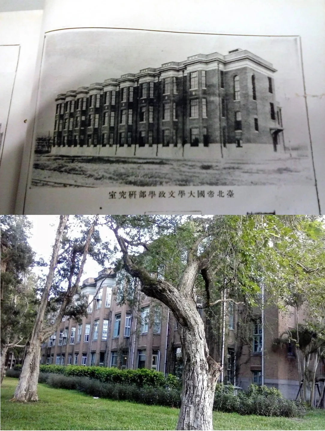 台大樂學館是台北帝國大學（台大前身）設校後，最早完工的建築之一。翻攝自臺大博物館群 × 臺大校史館FB