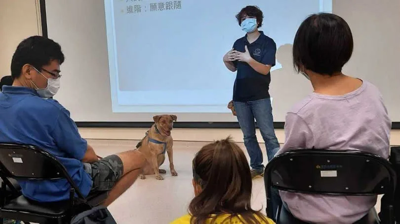 棕棕被退回收容所後,因體型與年紀關係,遲遲無法被領養。翻攝自新竹市動物保護及教育園區-南寮志工隊臉書