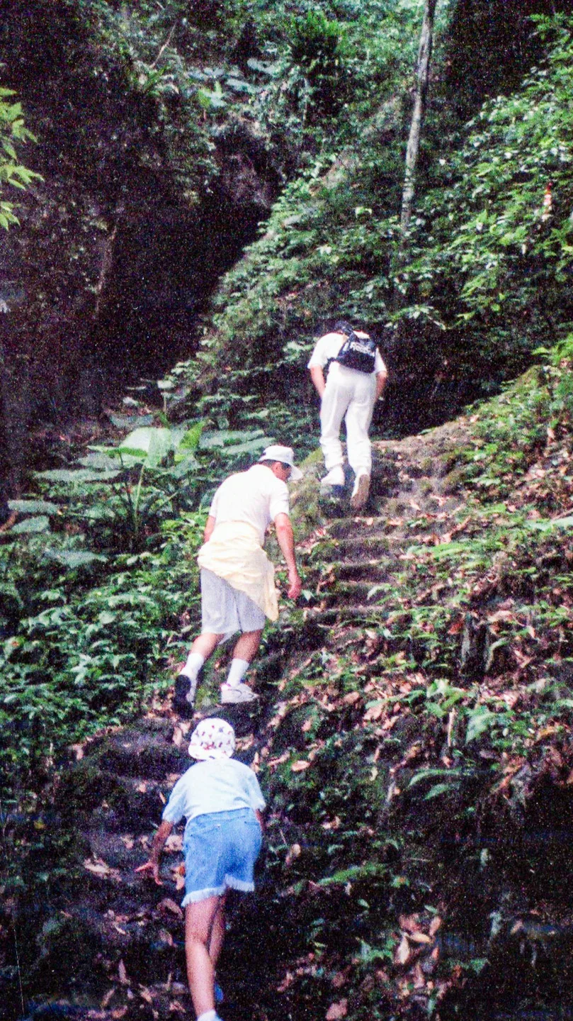 「我那小小多山的國家」古道多，圖為早期獅潭錫隘古道，有「上崎觸鼻孔，下崎觸髻鬃」之說，也被稱為「辭職崎」。何來美攝