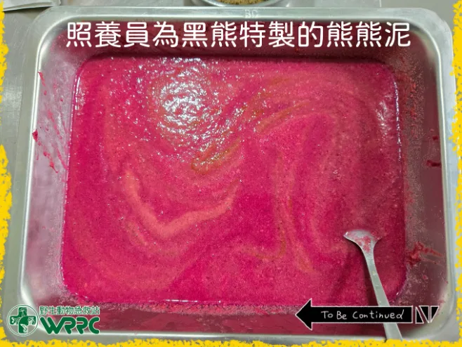 保育員特製的「熊熊泥」，成分是當季新鮮蔬果。翻攝野生動物急救站臉書