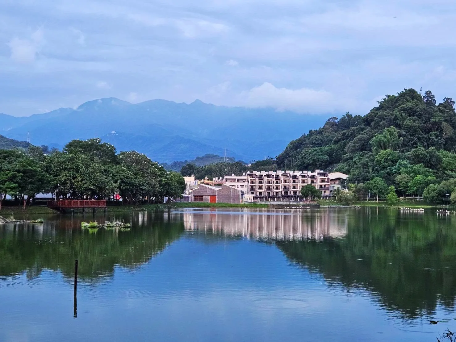 東勢林業文化園區雨後美景。取自東勢林業文化園區臉書