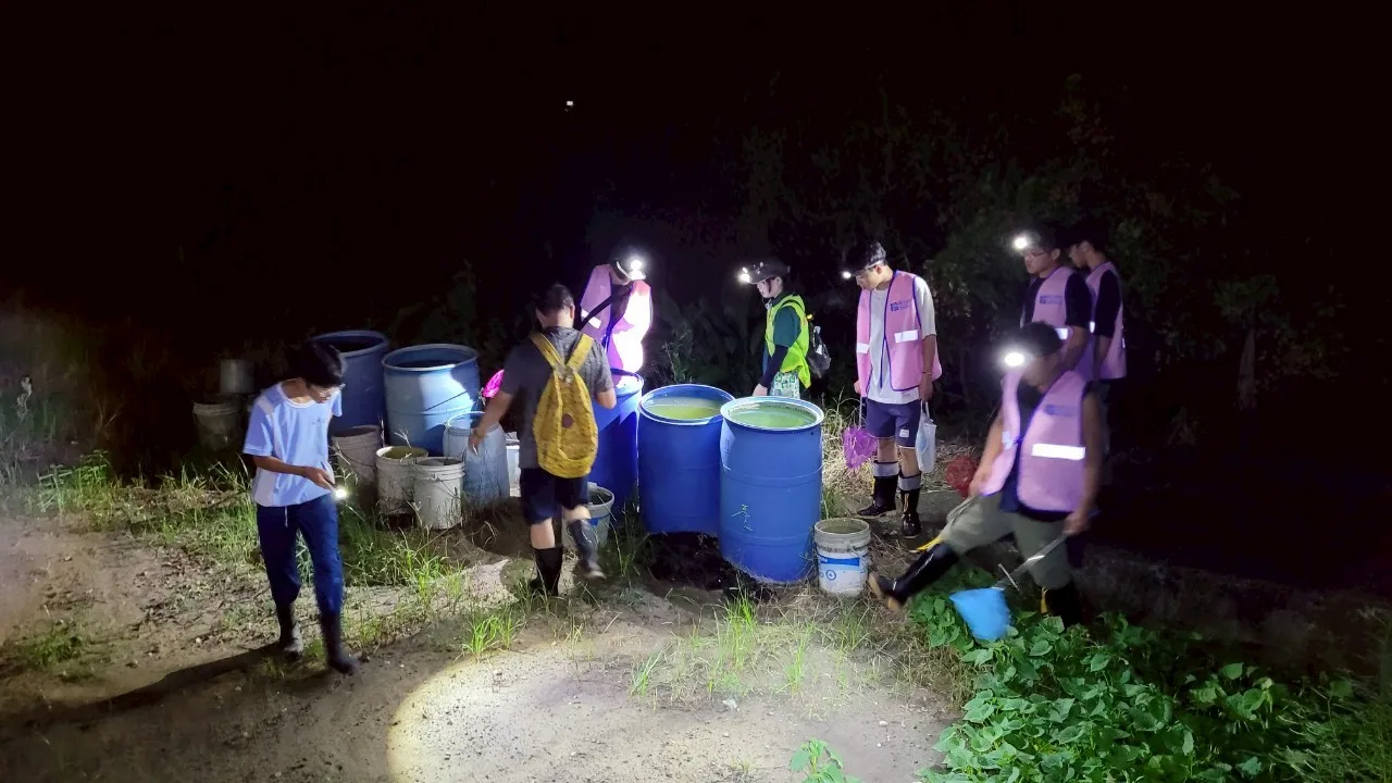 亞洲錦蛙移除小隊協助移除亞洲錦蛙、斑腿樹蛙，並防堵海蟾蜍入侵。南投縣政府提供
