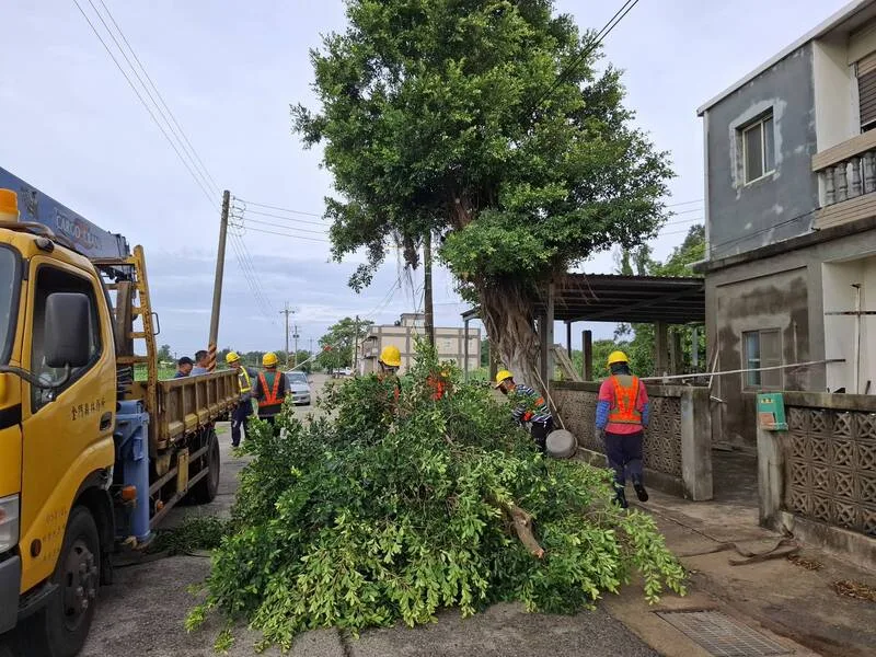 颱風楊柳影響，金門縣14日各地發現路樹倒塌災情，林務所派員進行移除作業。金門縣林務所提供