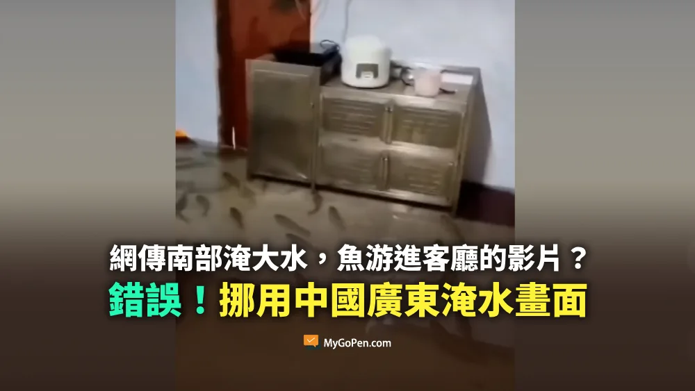 【錯誤】網傳南部淹大水，魚兒都游進住家客廳的影片？非台灣！挪用中國廣東淹水畫面