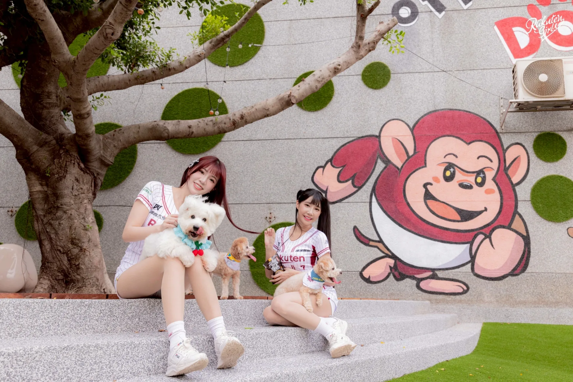樂天桃猿攜手桃園市政府動物保護處，共同打造「棒球場寵物樂園」。翻攝自Rakuten Monkeys臉書粉絲專頁
