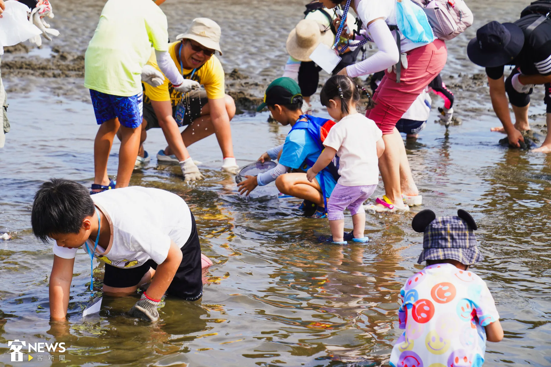 多組親子專注手上的摸蛤工作。李宥妍攝