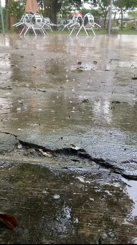 台中石岡仙塘坪20日中午下起冰雹，滿地都是一顆顆的冰粒，下了約10分鐘之久。初心旅行農莊民宿提供