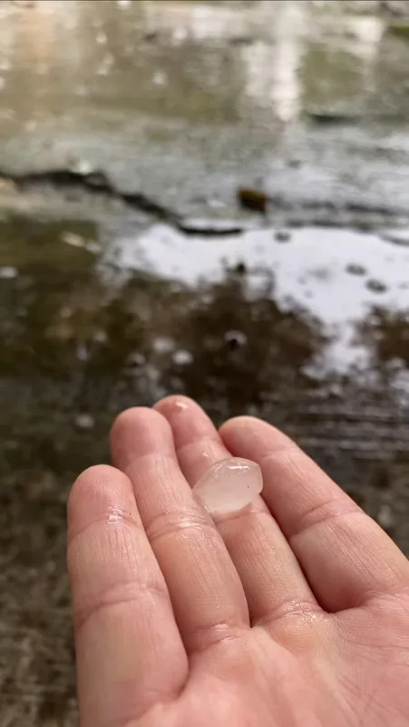 台中石岡仙塘坪20日中午一度降下冰雹，有當地民眾表示，住在這邊20、30年，第一次看到石岡下冰雹。初心旅行農莊民宿提供