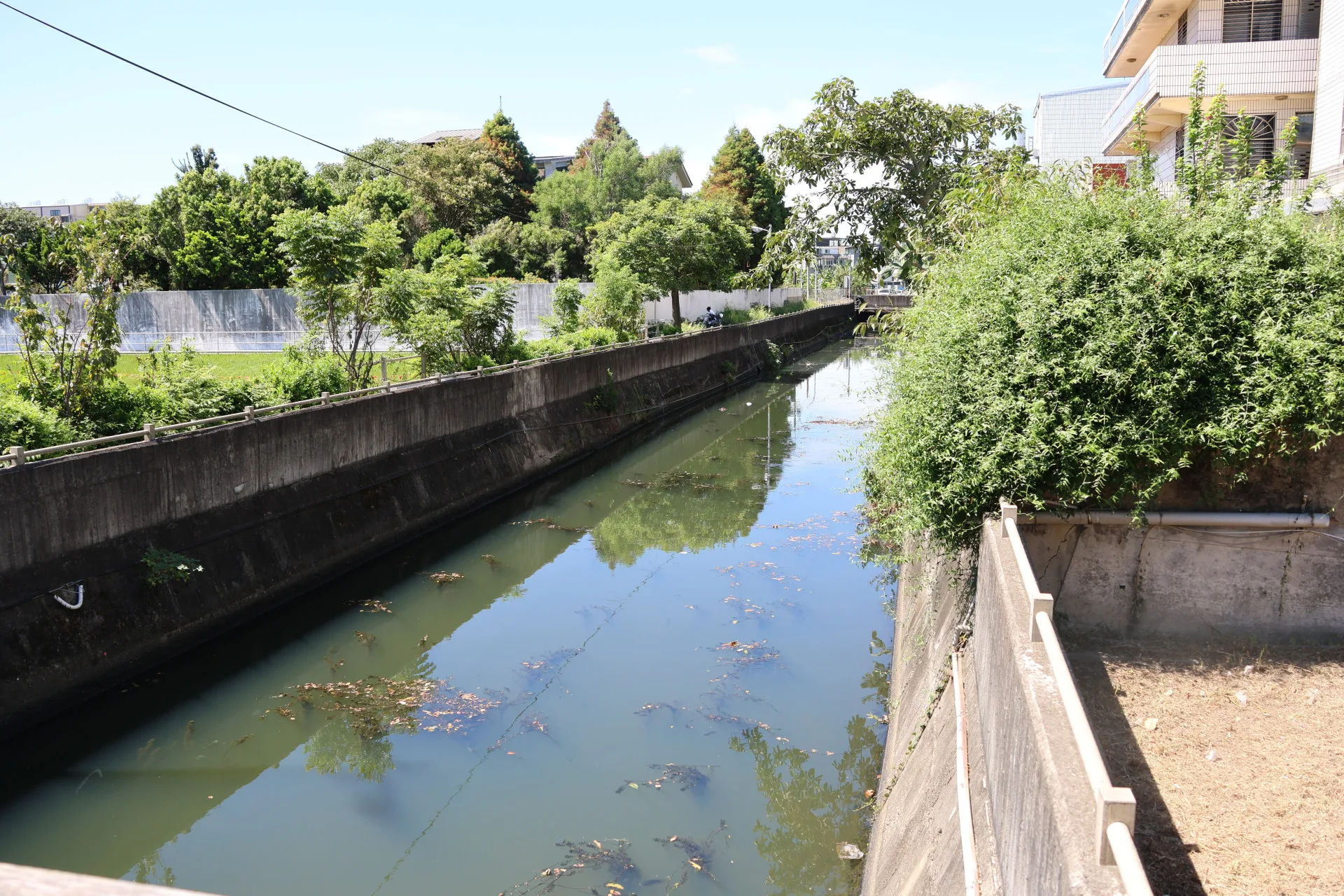竹南鎮射流溝水質汙染程度達中度等級。苗縣府提供