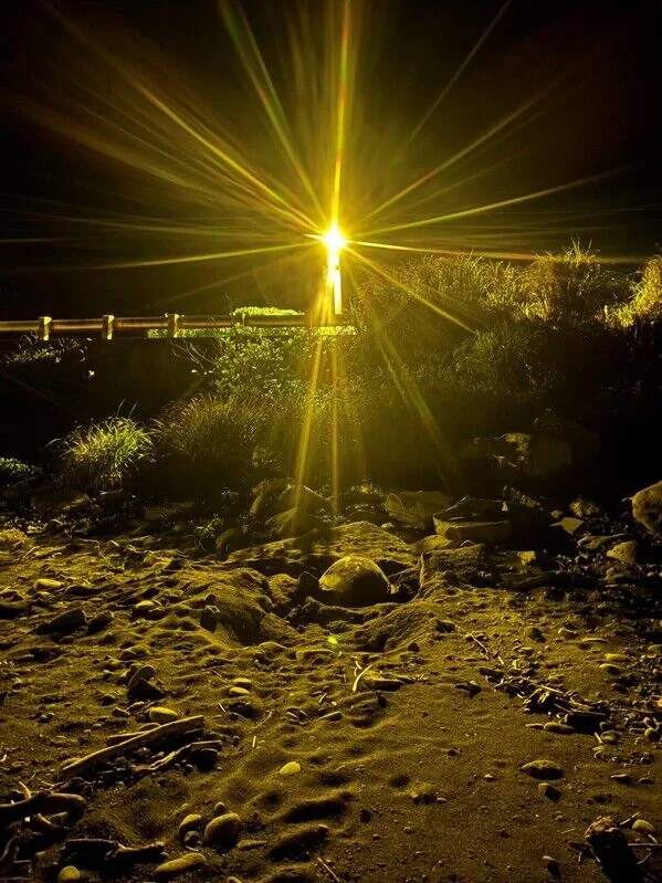 友善生態路燈下母龜安心產卵。臺東縣蘭嶼鄉漁人社區發展協會施翰豪提供