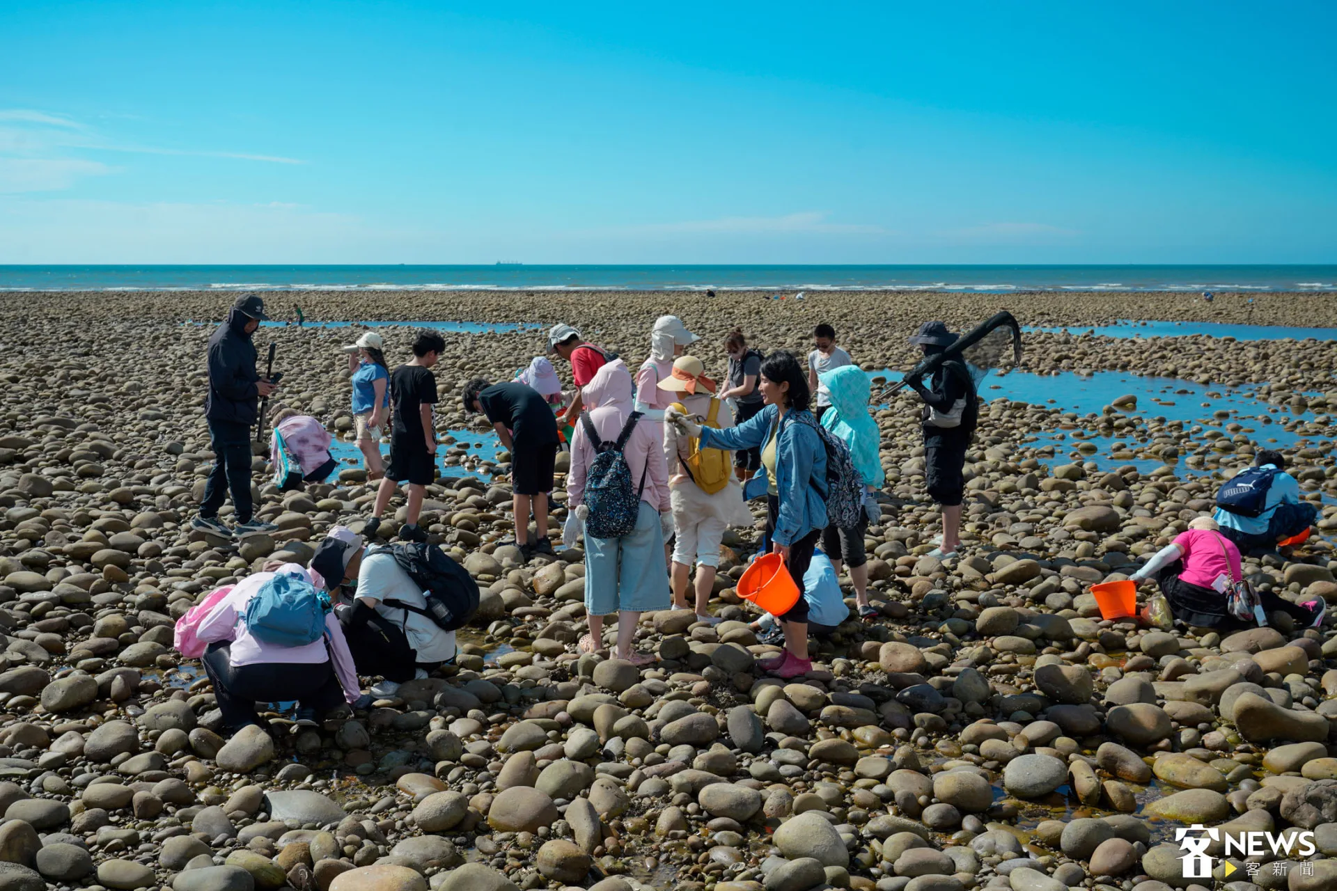眾人在潮間帶尋訪生物。