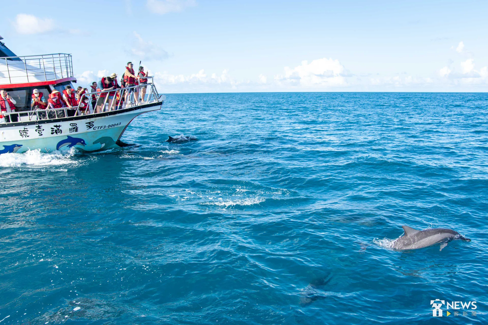 飛旋海豚玩著船首的浪花。李台源攝
