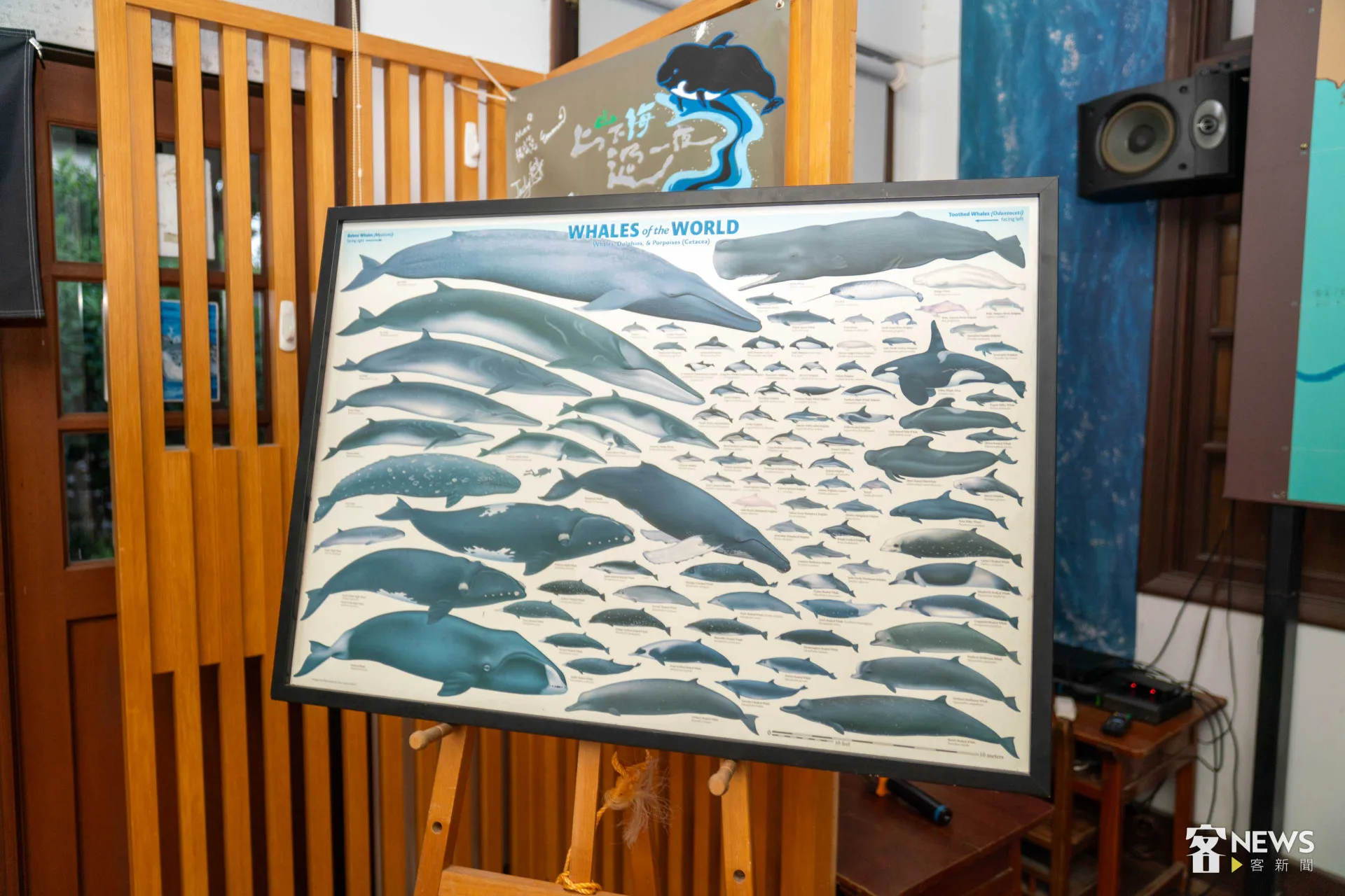 多羅滿生態教室展示著鯨魚圖鑑。李台源攝