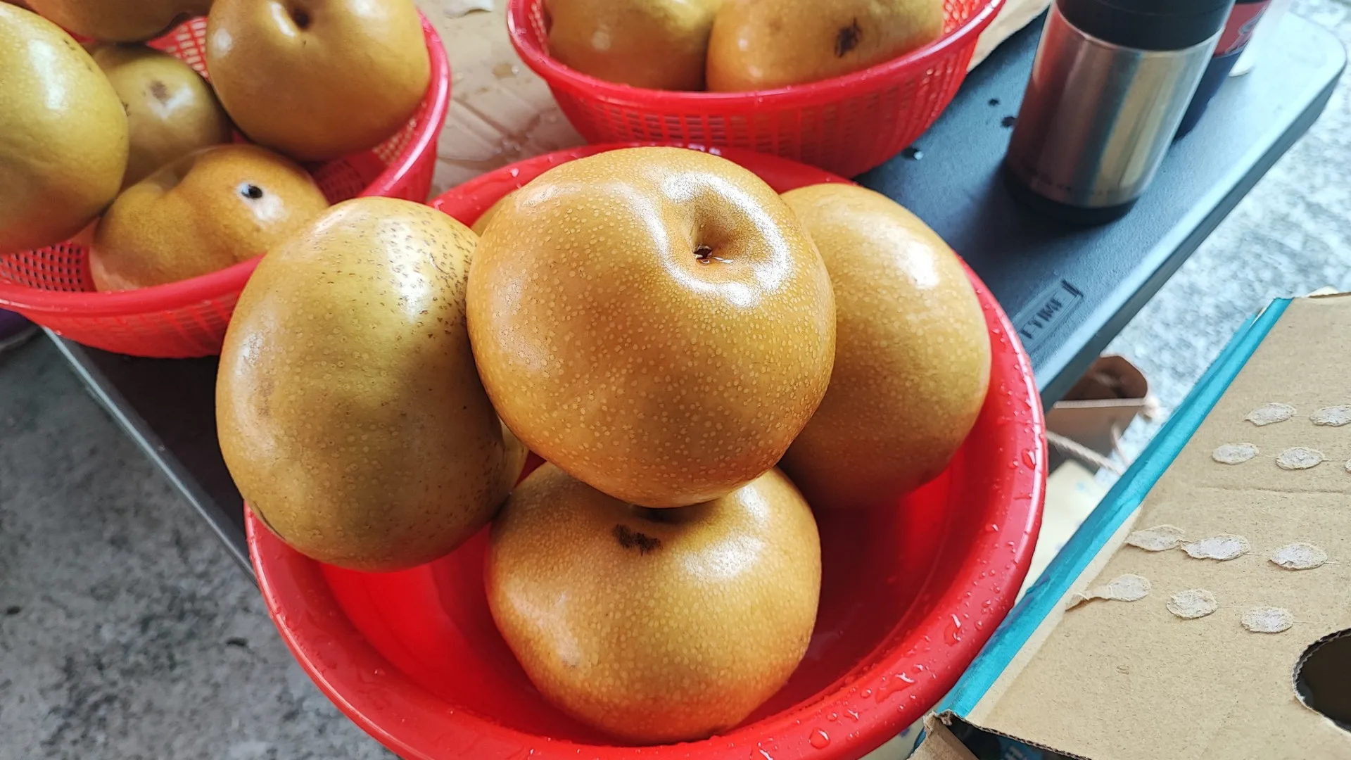 台中市政府提供