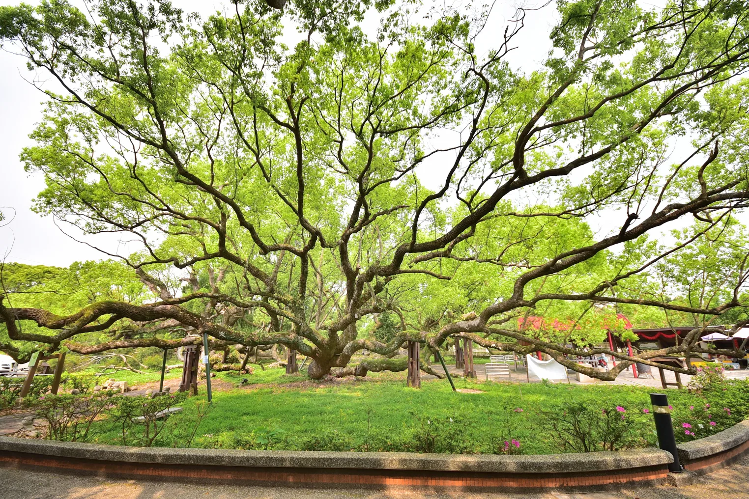 台中市政府提供