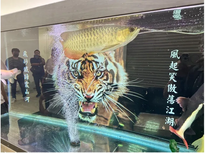 新竹地檢署瓦解幫派設立之跨國「老虎機房」詐欺集團，起訴27人、追查金流逾10億元。新竹地檢署提供