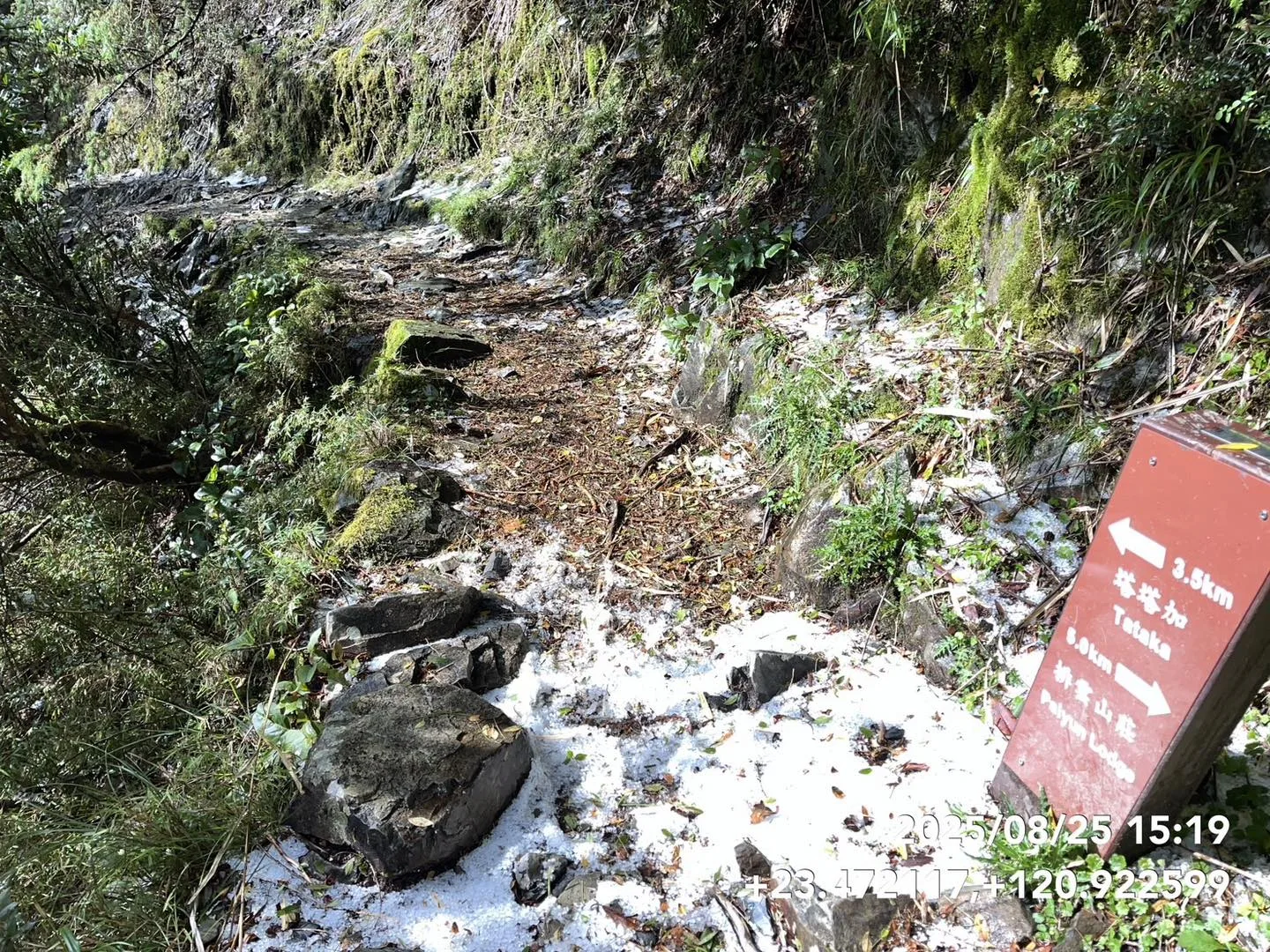 玉山步道2.7公里到4公里處，出現了罕見的冰雹景觀，部分路段積冰雹甚至達到3至5公分厚。玉管處提供