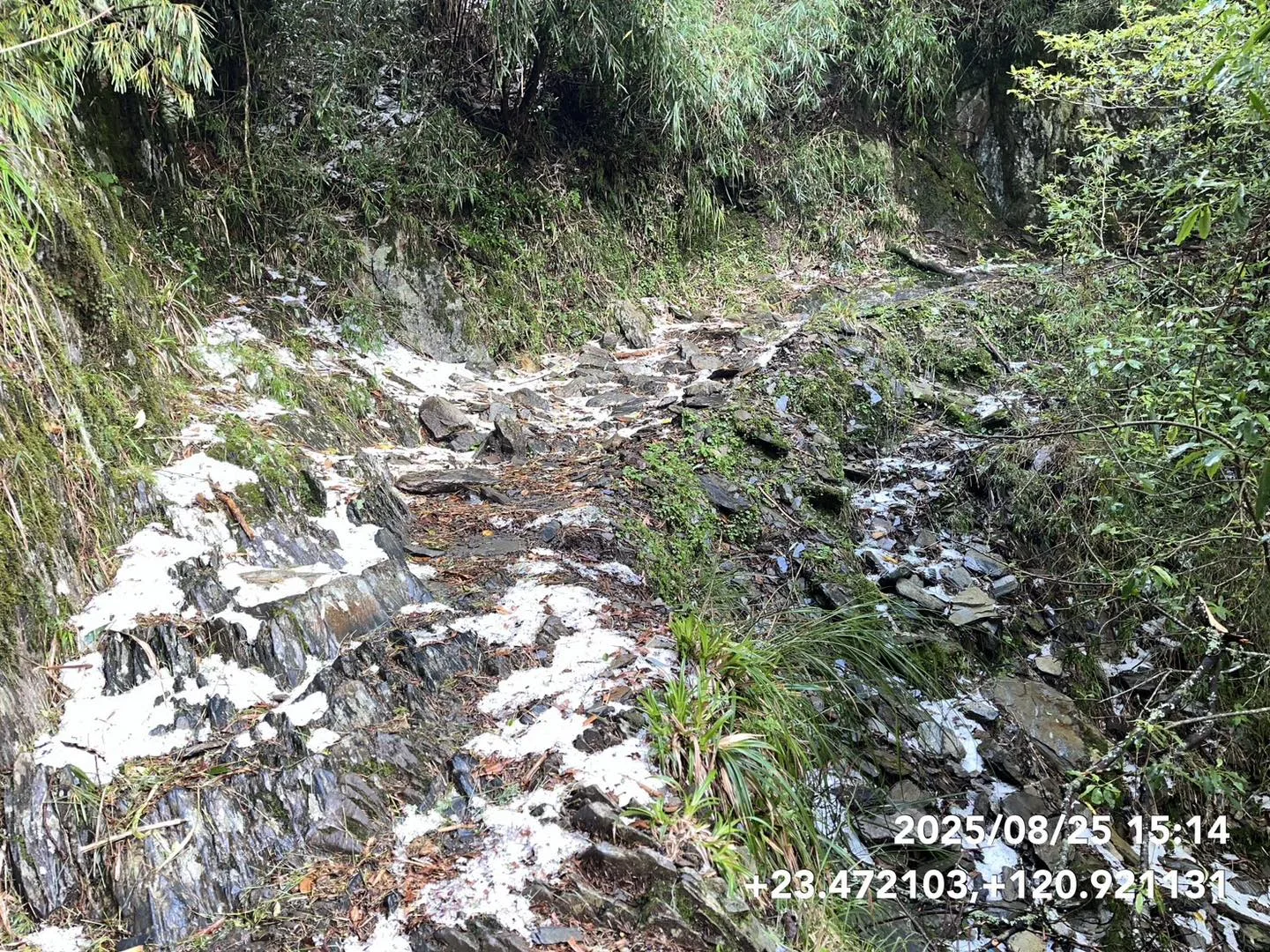 玉山步道2.7公里到4公里處，出現了罕見的冰雹景觀，部分路段積冰雹甚至達到3至5公分厚。玉管處提供