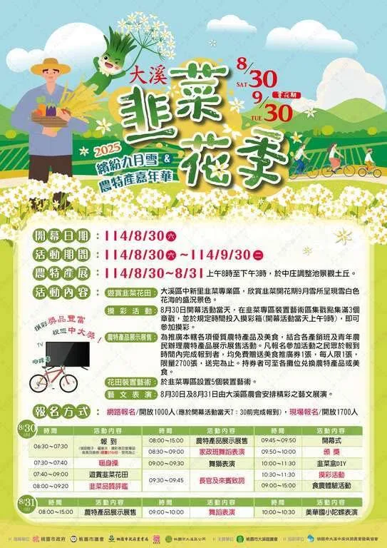 大溪韭菜花季30日起登場