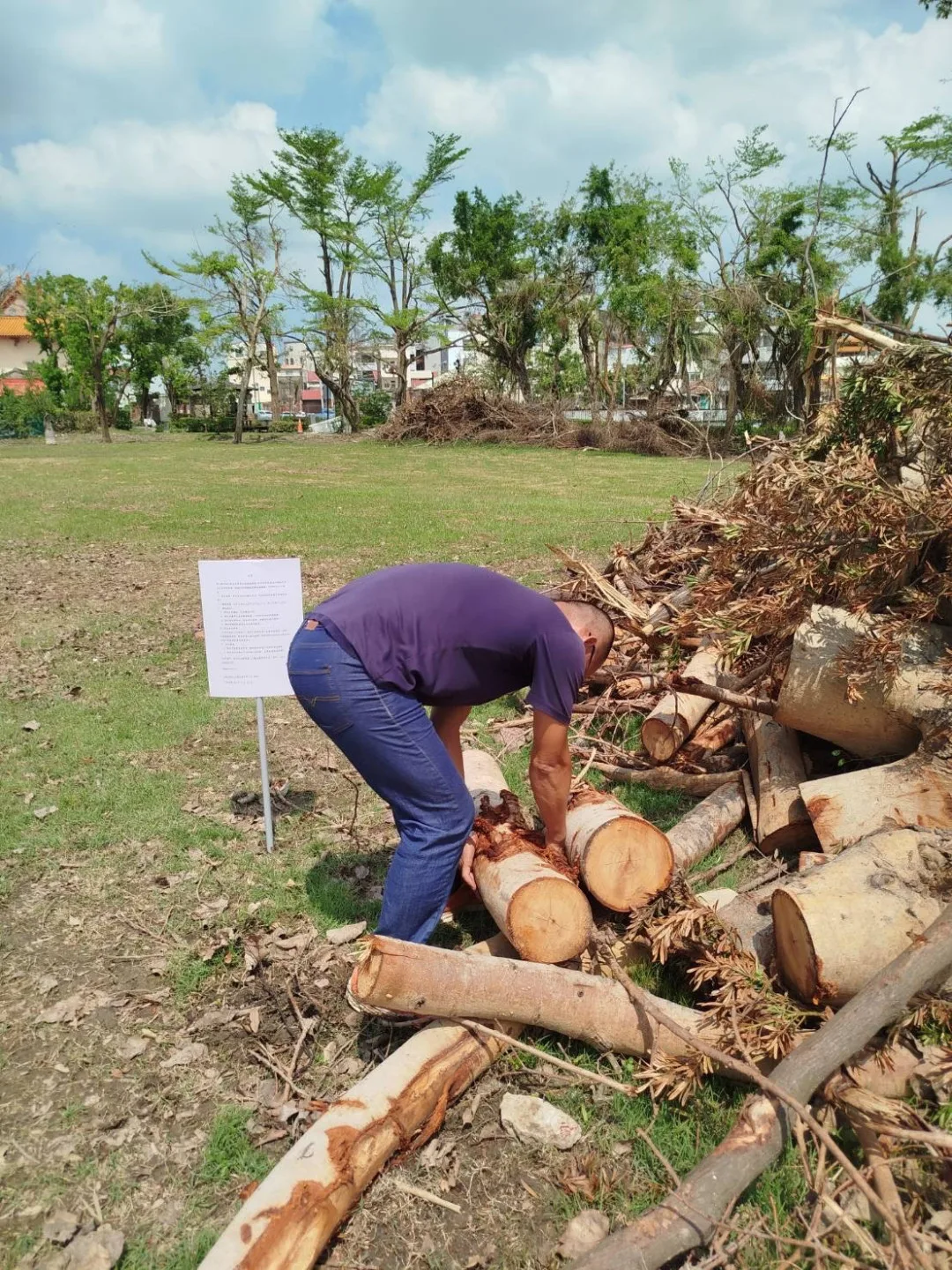 台南風災倒塌樹木,開放民眾撿拾再利用。台南市政府提供