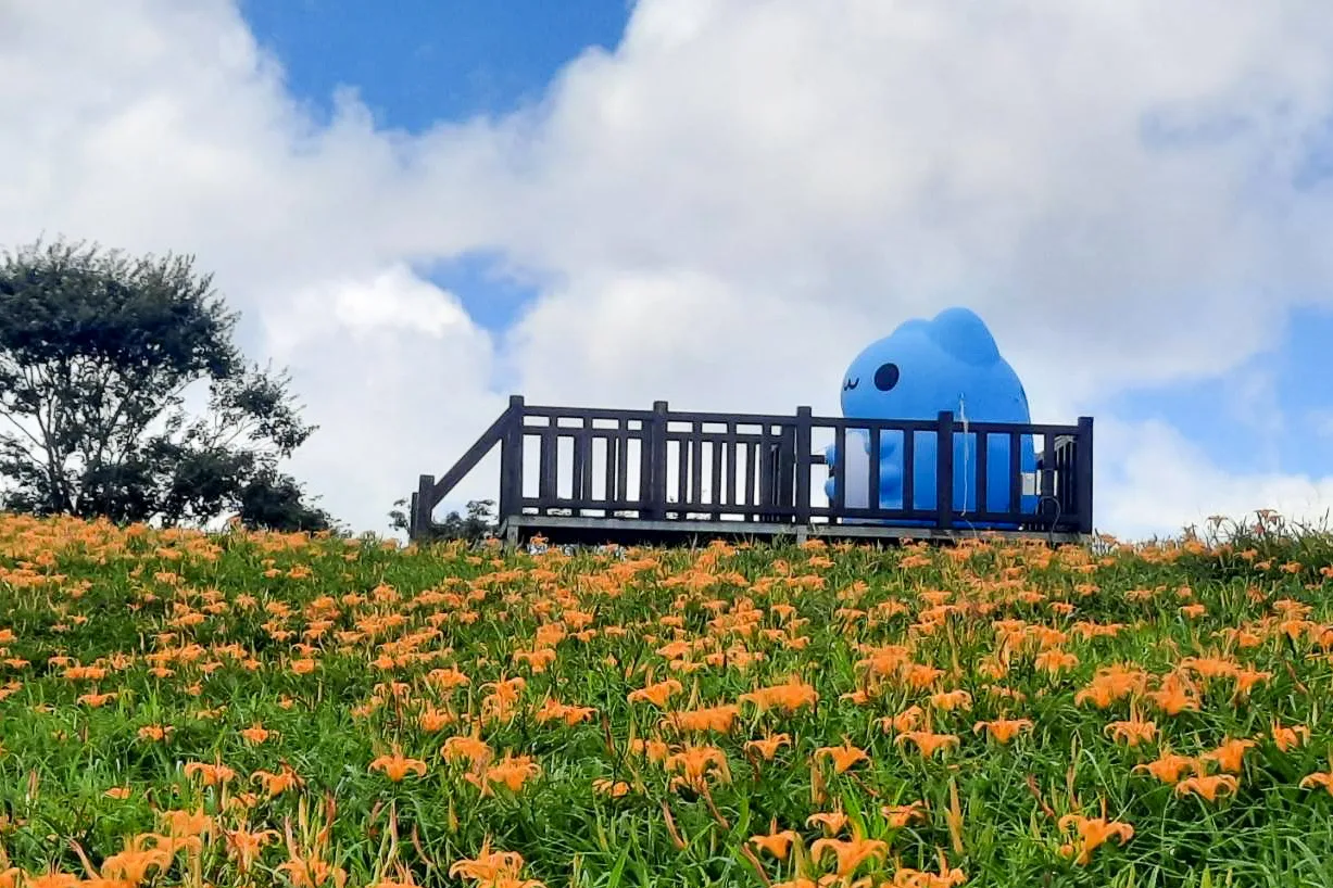 六十石山貓貓蟲咖波 BUGCAT CAPOO。農業部花蓮區農業改良場提供