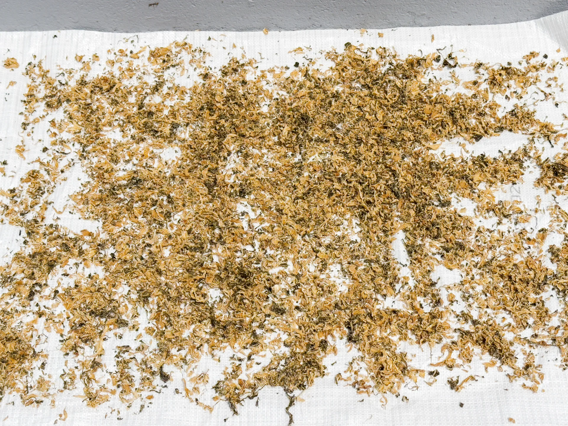 曬切碎的鹹菜。蕭秀琴攝