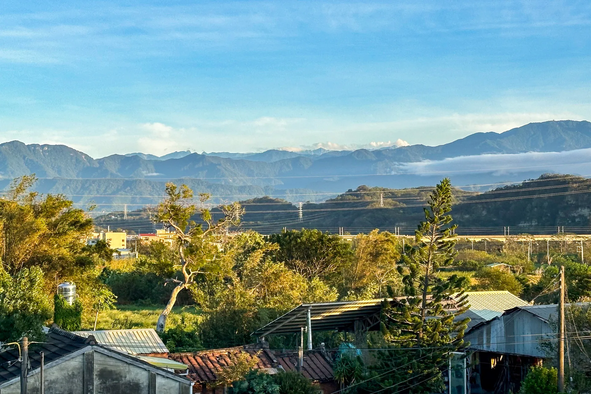 鹹菜是一種大地的色彩。蕭秀琴攝