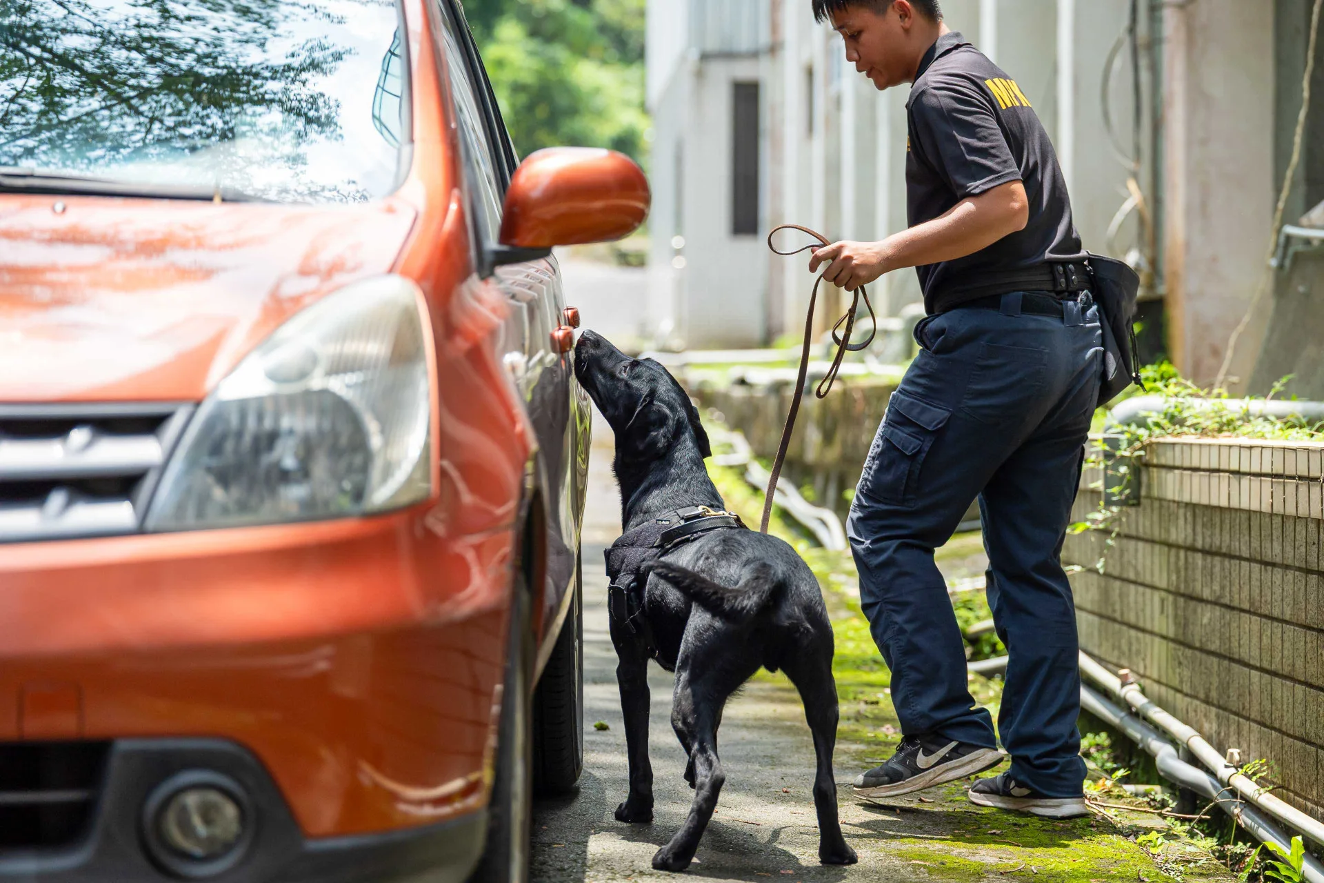 K9軍犬負責搜尋所謂相關爆裂物，以維持現場的安全。文總提供