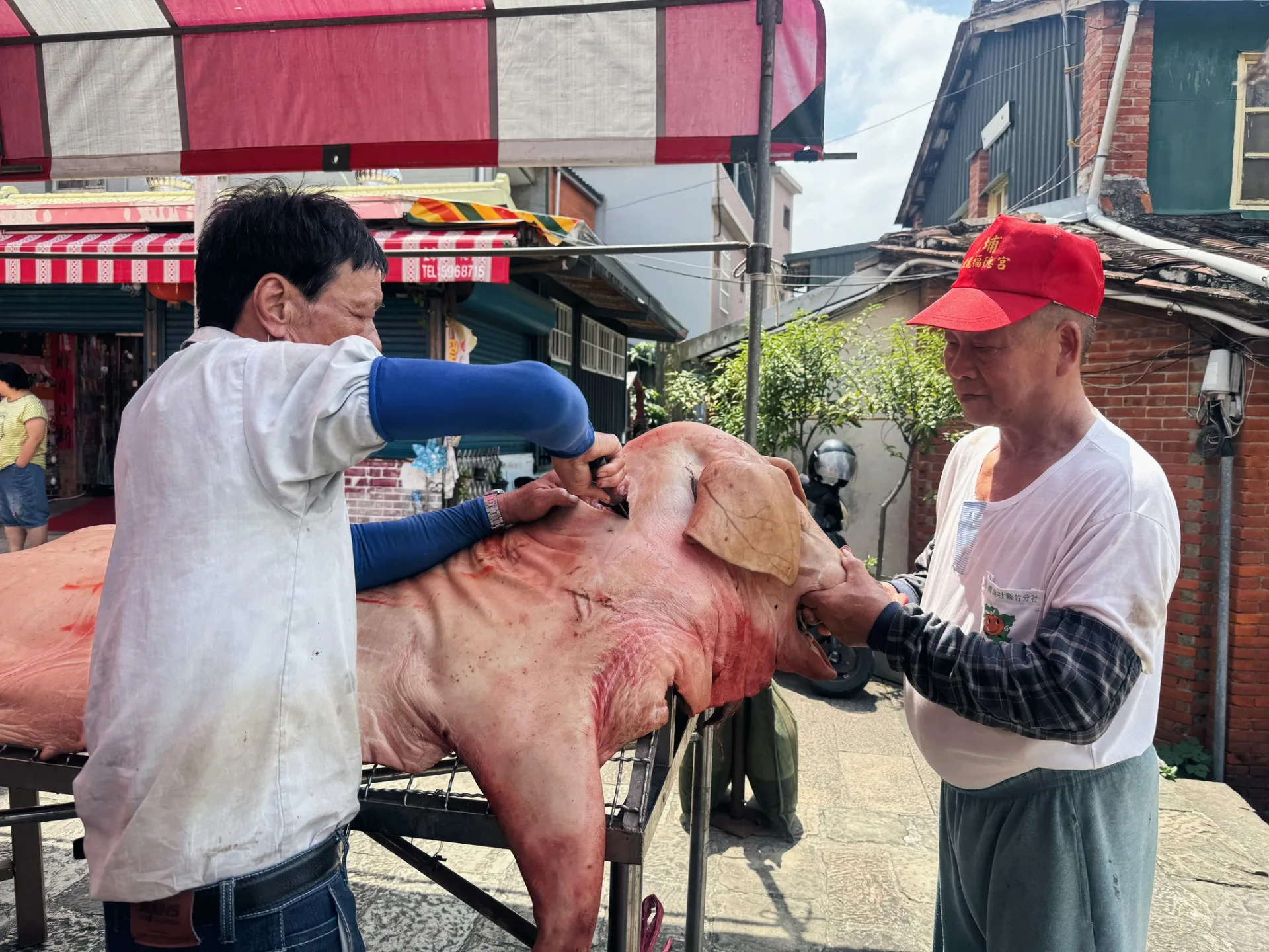 普度祭拜後，分割豬肉。滾回家拍攝提供
