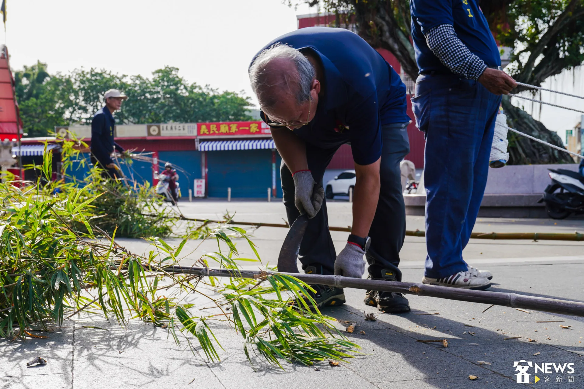 豎燈篙的燈篙竹,尾端一定要有青色竹葉。朱愷元攝
