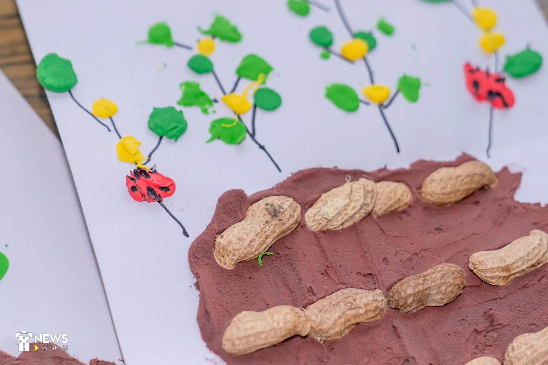 從陪伴阿公開始，到成立品牌、文化推動、長者據點、教育扎根，顏惟親的返鄉之路，早已超越最初的單純念頭。洪藝晅攝