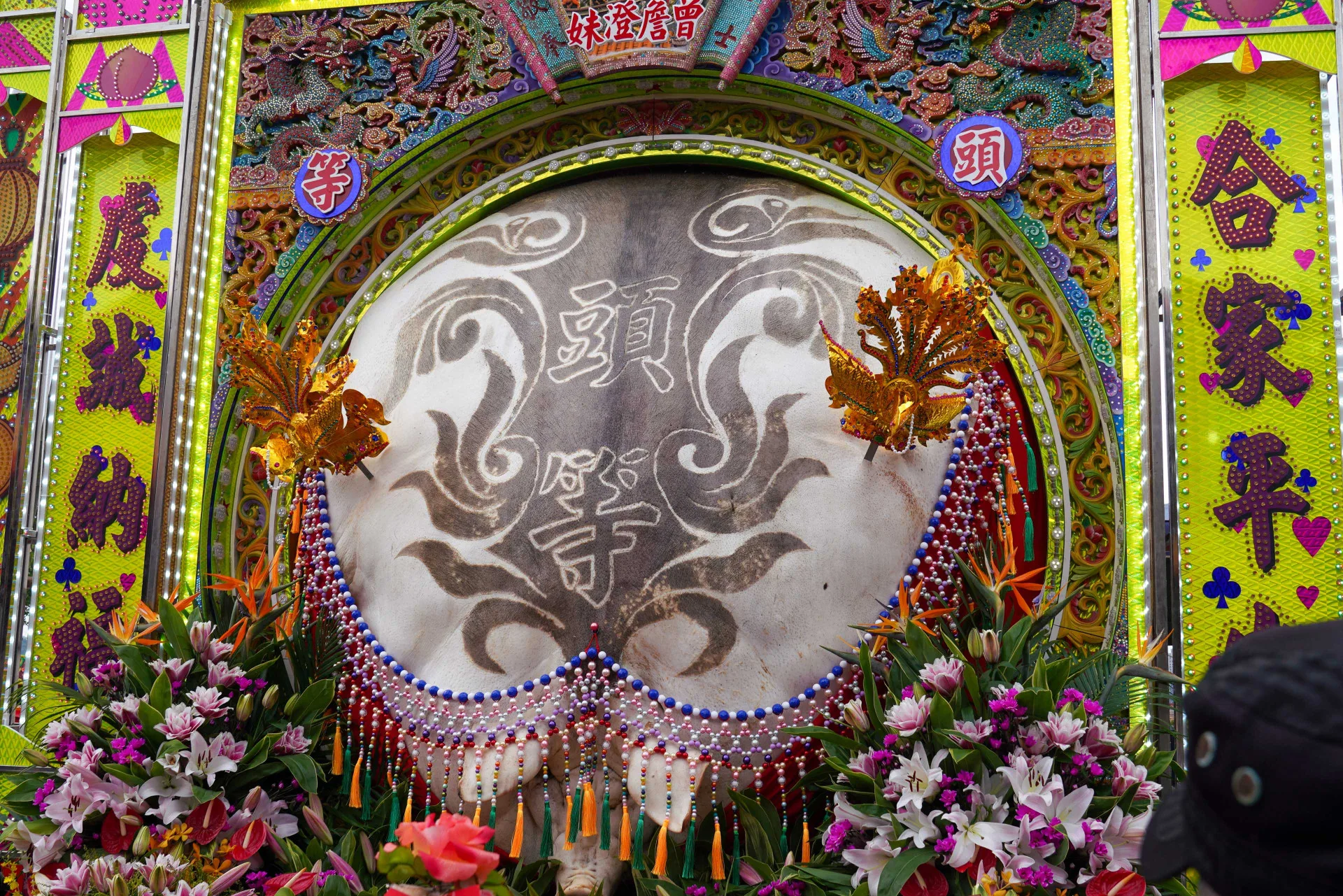 義民祭神豬吸引大批民眾圍觀。李宥妍攝